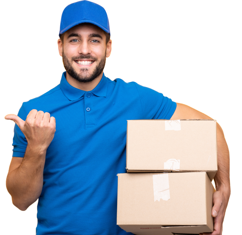 Packers and Movers in Hisar
